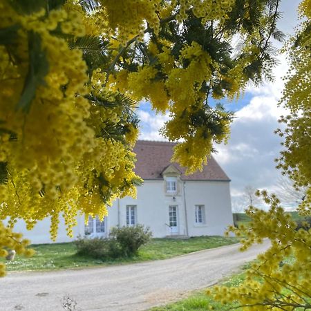 Les Mimosas Villa Gracay Eksteriør bilde